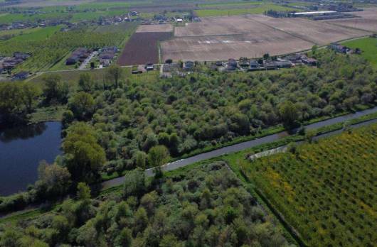 terreno agricolo in vendita a Cerea