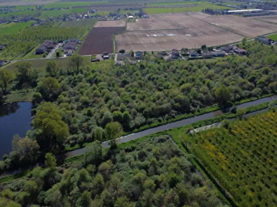 terreno agricolo in vendita a Cerea