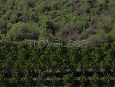 appartamento in vendita a Cerea