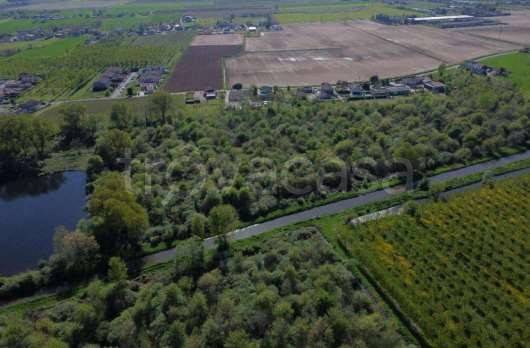 terreno agricolo in vendita a Cerea