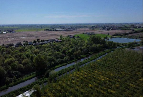 terreno agricolo in vendita a Cerea