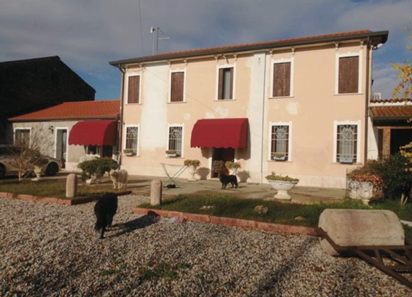 immagine annuncio 0 di 10