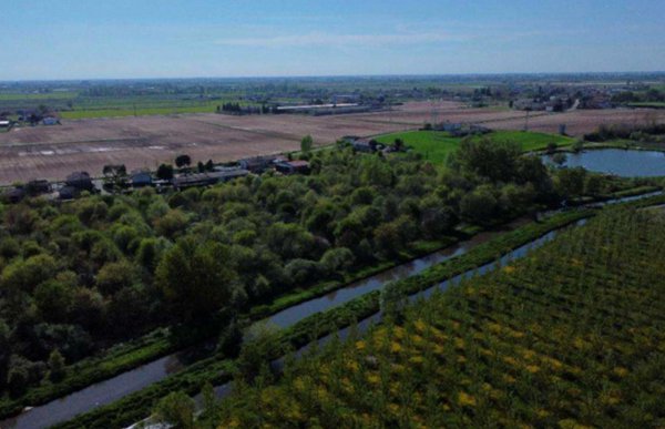 terreno agricolo in vendita a Cerea