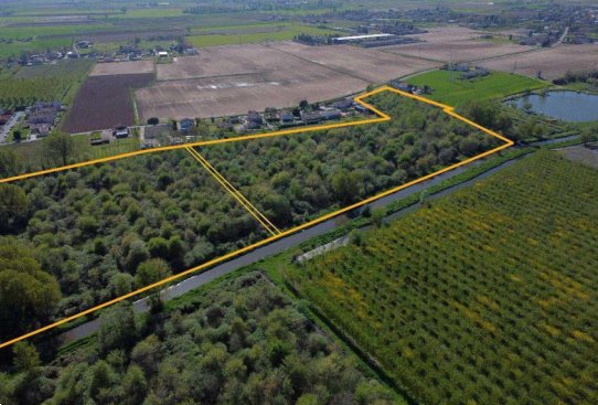 terreno agricolo in vendita a Cerea