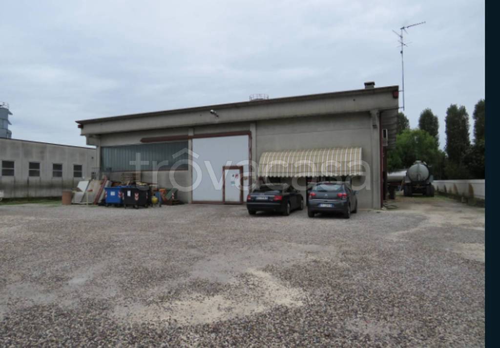 negozio in vendita a Cerea in zona Cherubine