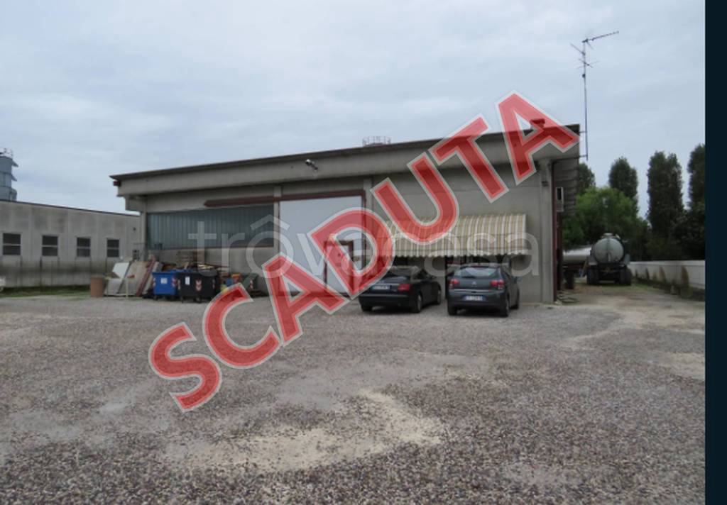 negozio in vendita a Cerea in zona Cherubine