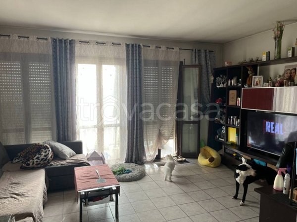 appartamento in vendita a Cerea