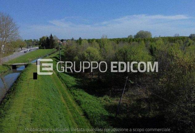 terreno agricolo in vendita a Cerea