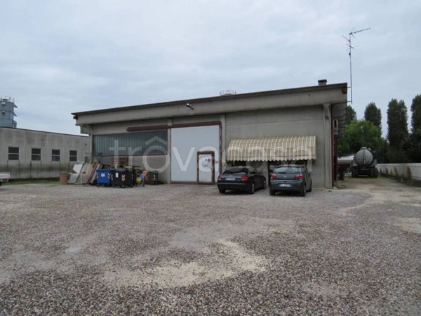 negozio in vendita a Cerea in zona Cherubine