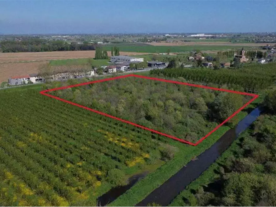 terreno agricolo in vendita a Cerea