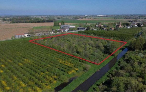 terreno agricolo in vendita a Cerea