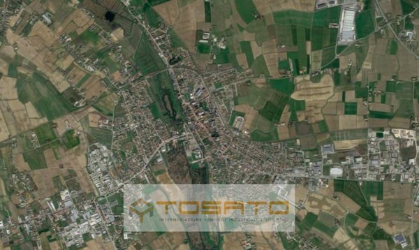 terreno agricolo in vendita a Cerea