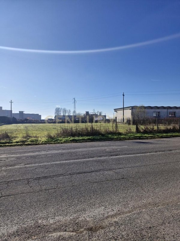 terreno agricolo in vendita a Cerea