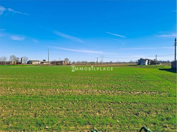 terreno agricolo in vendita a Cerea in zona Asparetto