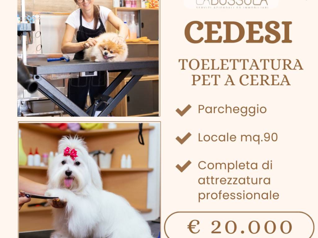 negozio in vendita a Cerea