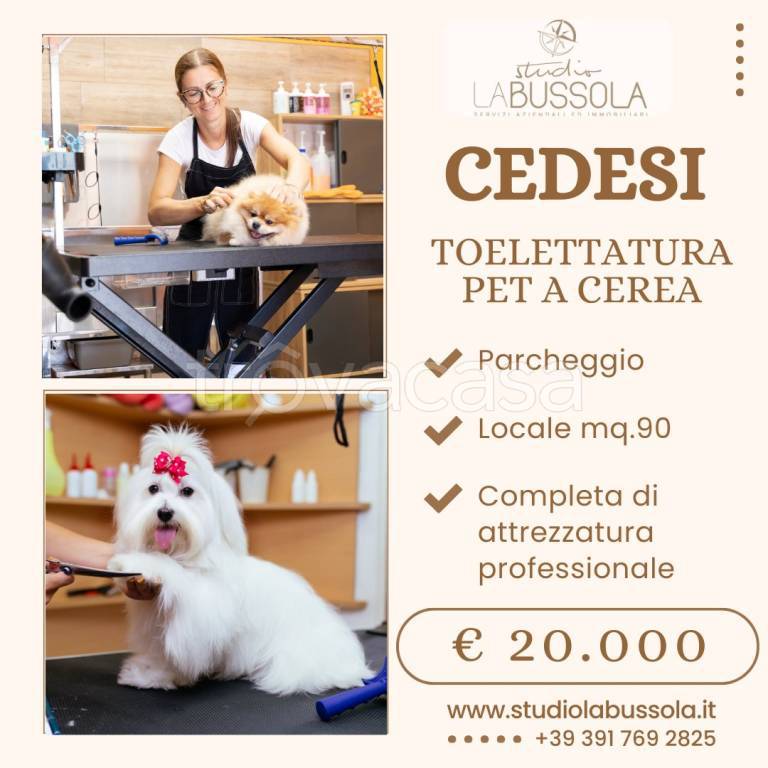 negozio in vendita a Cerea