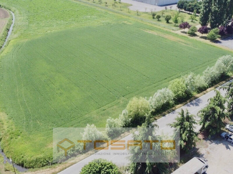 terreno agricolo in vendita a Cerea