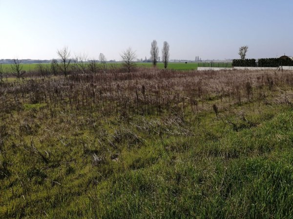 casa indipendente in vendita a Cerea in zona Asparetto