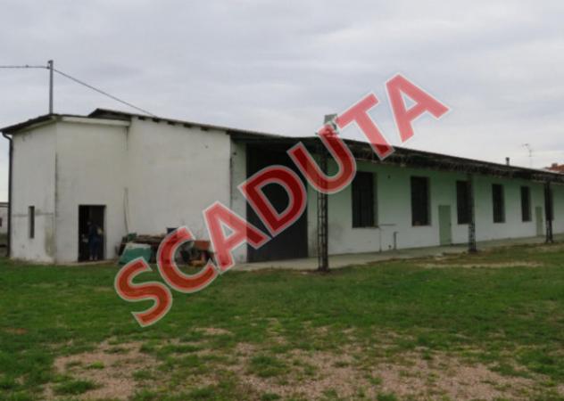 pentavano in vendita a Cerea in zona Cherubine