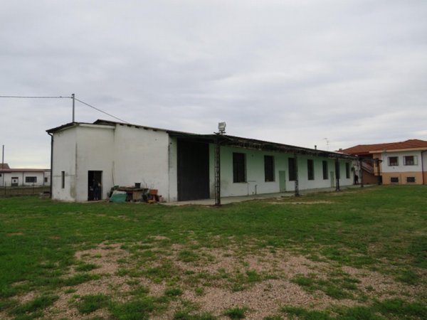 terreno edificabile in vendita a Cerea