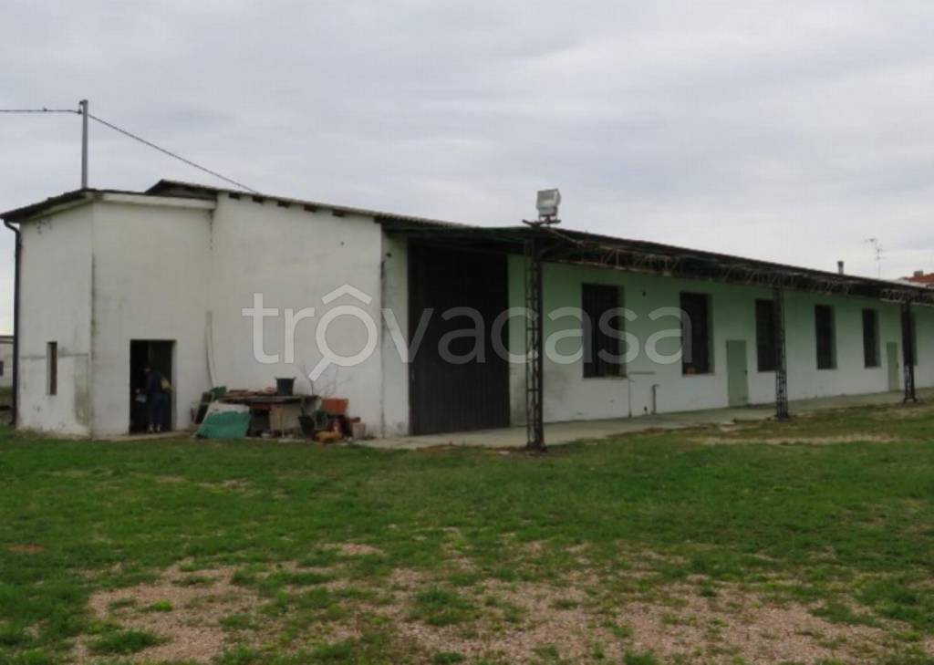 negozio in vendita a Cerea in zona Cherubine