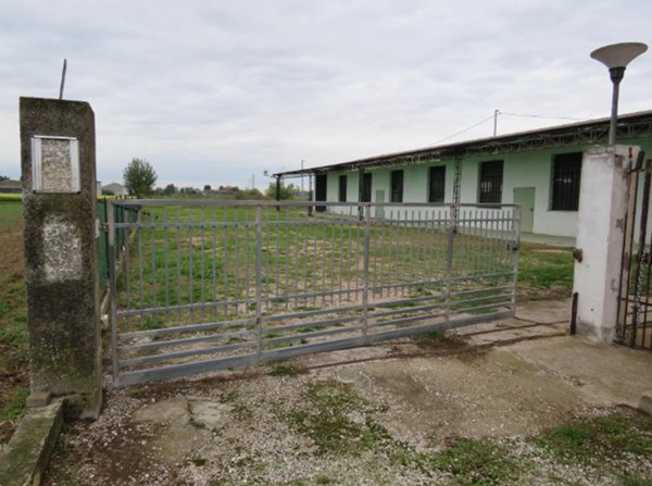 ufficio in vendita a Cerea in zona Cherubine