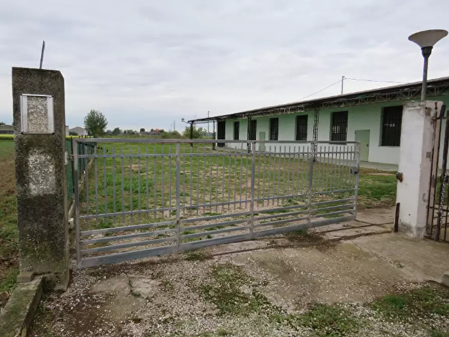 ufficio in vendita a Cerea in zona Cherubine