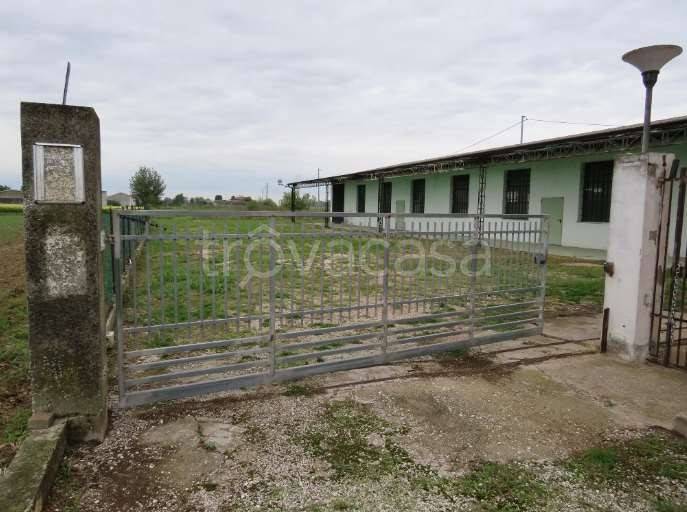 negozio in vendita a Cerea in zona Cherubine