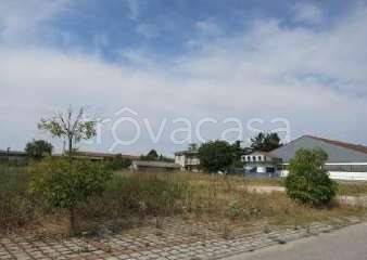 terreno edificabile in vendita a Cerea