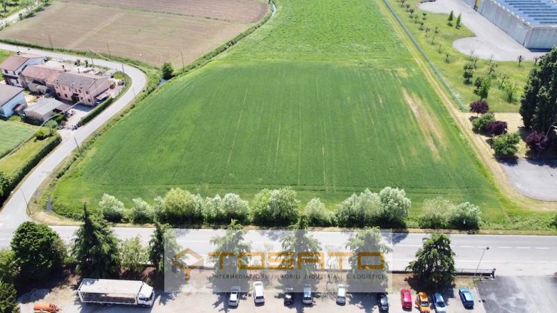 terreno edificabile in vendita a Cerea in zona Cherubine