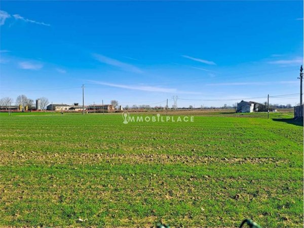 terreno agricolo in vendita a Cerea in zona Asparetto