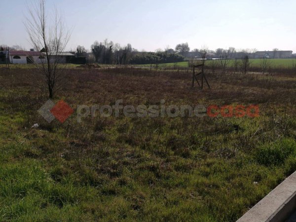terreno in vendita a Cerea in zona Asparetto