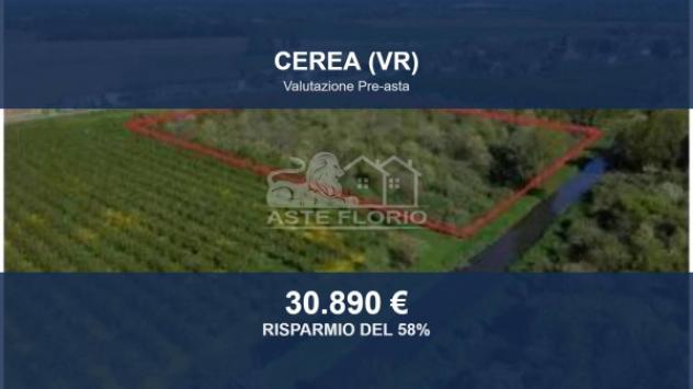 terreno edificabile in vendita a Cerea