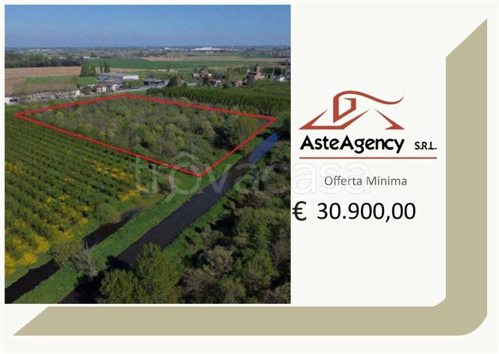 terreno agricolo in vendita a Cerea