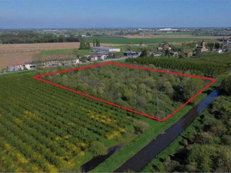 terreno agricolo in vendita a Cerea