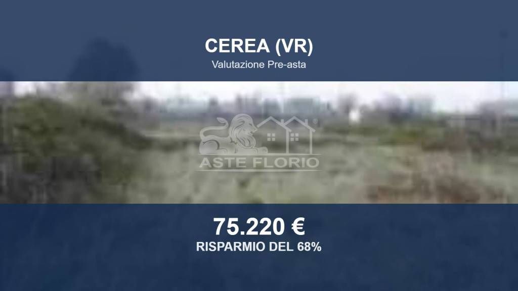 terreno agricolo in vendita a Cerea