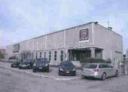 terreno edificabile in vendita a Cerea