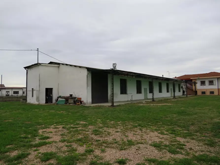 ufficio in vendita a Cerea in zona Cherubine