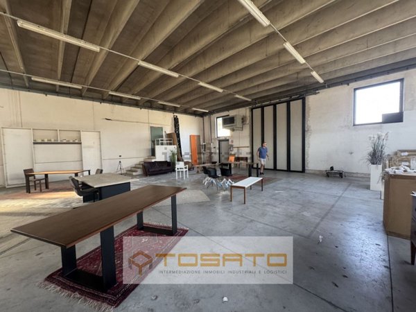 terreno edificabile in vendita a Cerea in zona Asparetto