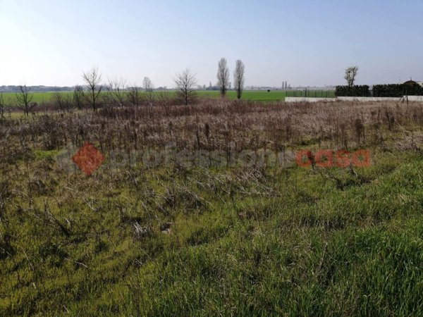 terreno in vendita a Cerea in zona Asparetto