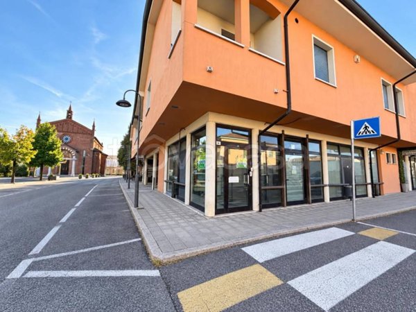 appartamento in vendita a Cerea in zona Cherubine