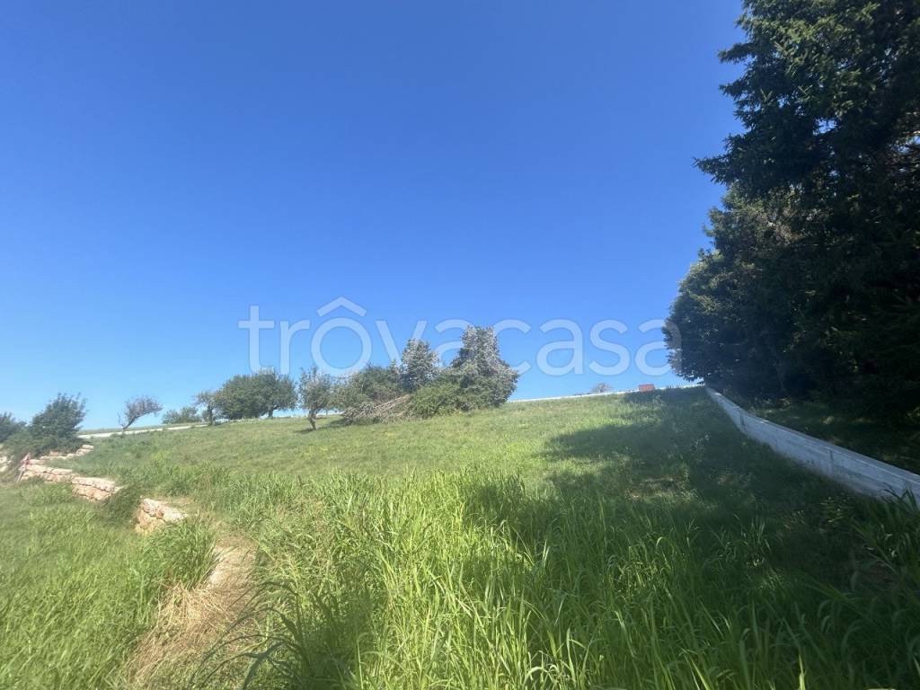 terreno agricolo in vendita a Cerro Veronese
