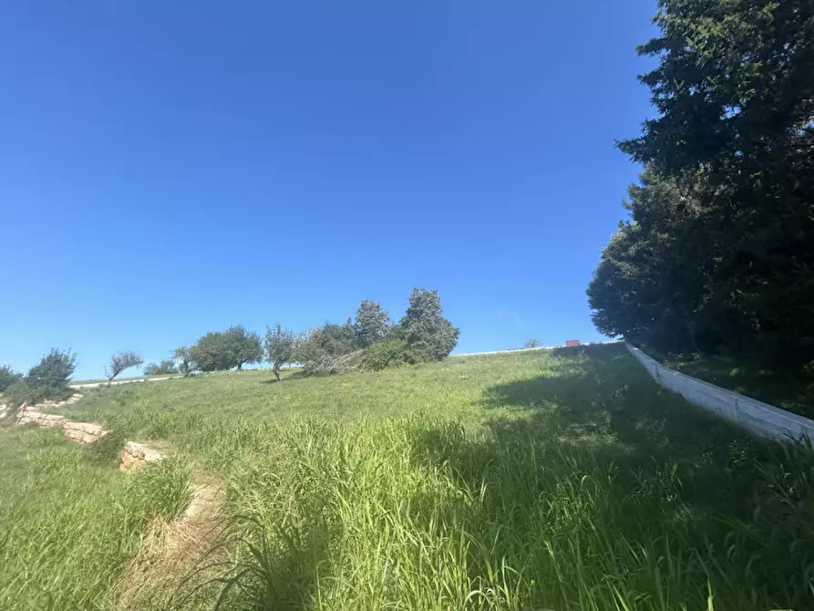 mansarda in vendita a Cerro Veronese