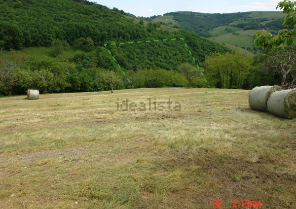 terreno agricolo in vendita a Cerro Veronese