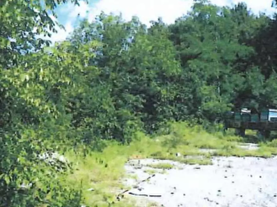 terreno agricolo in vendita a Cerro Veronese