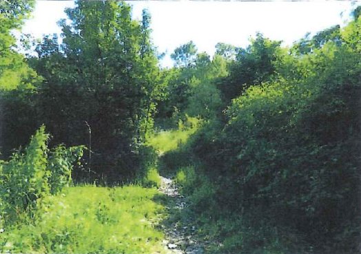 terreno edificabile in vendita a Cerro Veronese