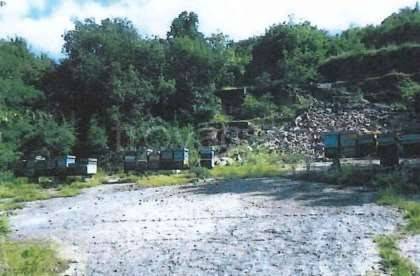 terreno agricolo in vendita a Cerro Veronese