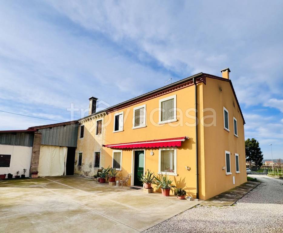 casa indipendente in vendita a Cologna Veneta