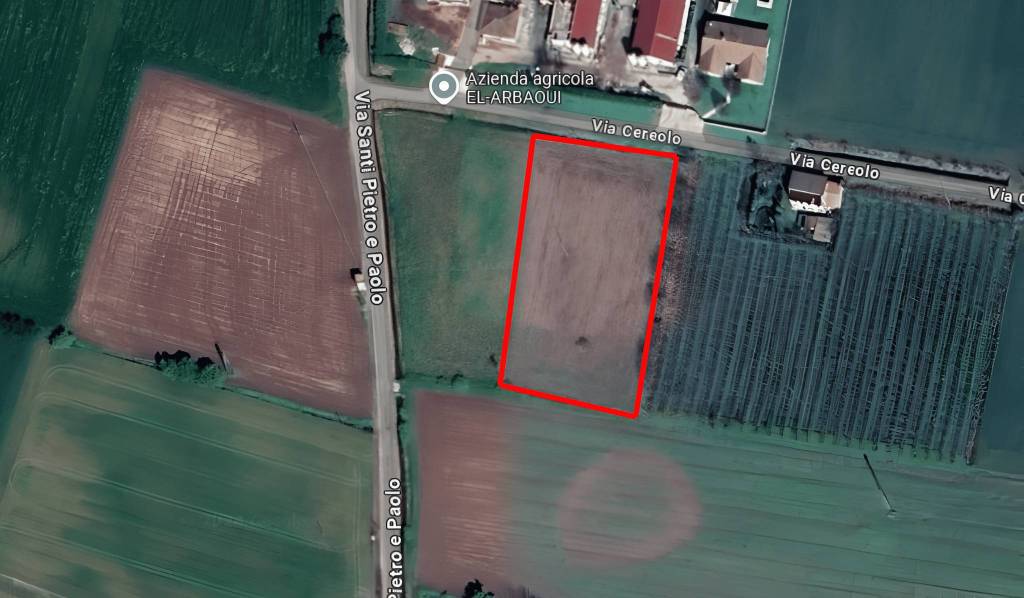 azienda agricola in vendita a Cologna Veneta