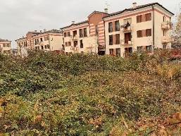 terreno edificabile in vendita a Cologna Veneta
